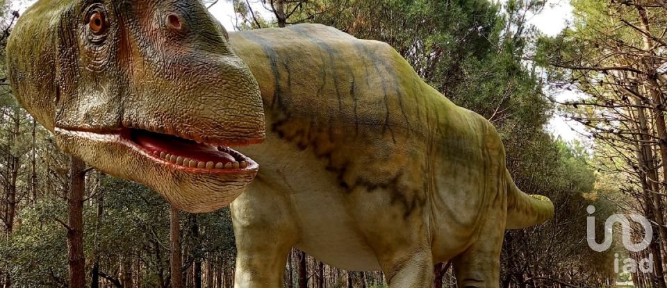 Terreno em Lourinhã e Atalaia de 2 408 m²