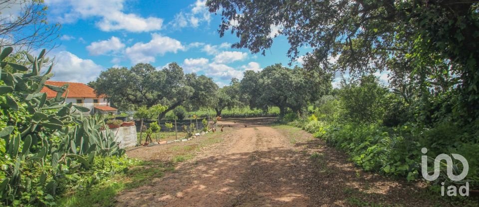 Farm T3 in Nossa Senhora da Expectação of 441 m²