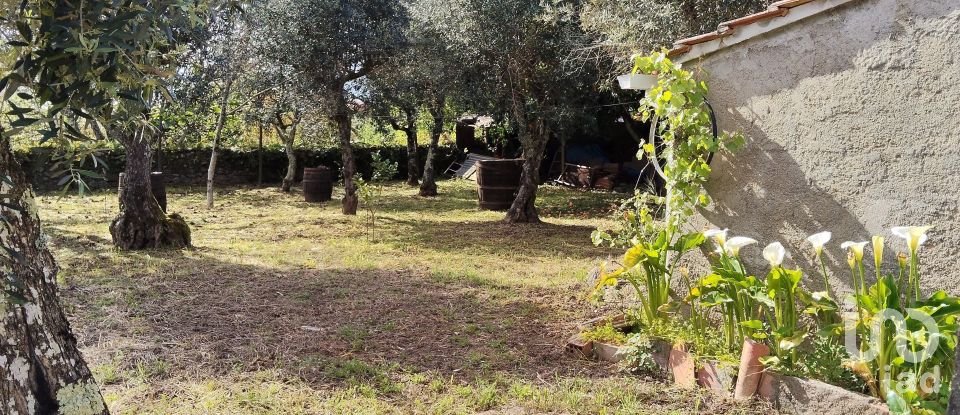 Maison T5 à Pedrógão Grande de 245 m²