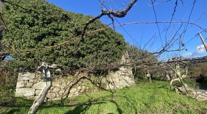 House T3 in Covas of 132 m²