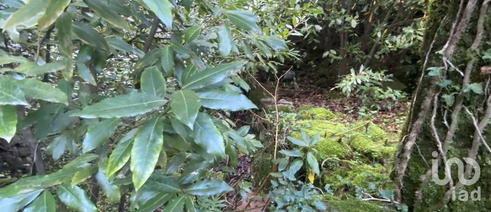 Moradia T3 em Covas de 132 m²