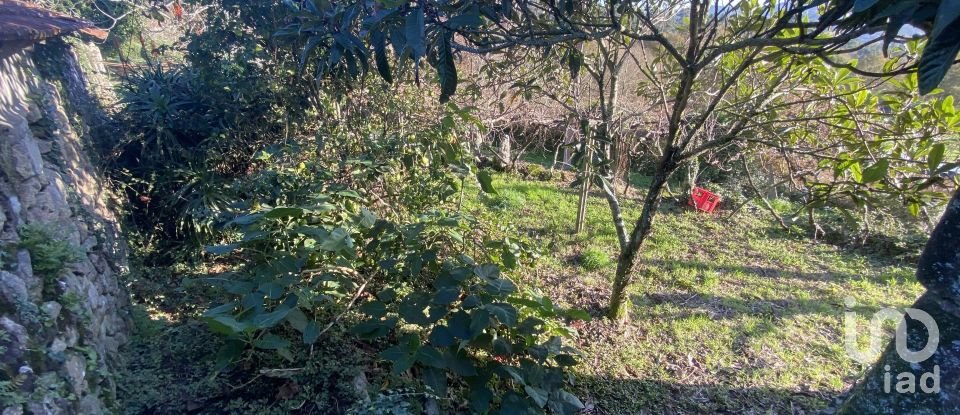 Moradia T3 em Covas de 132 m²