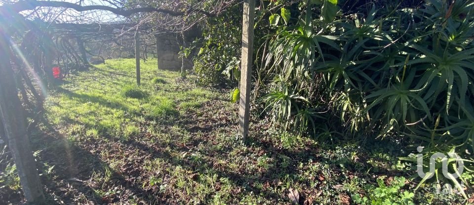 Moradia T3 em Covas de 132 m²