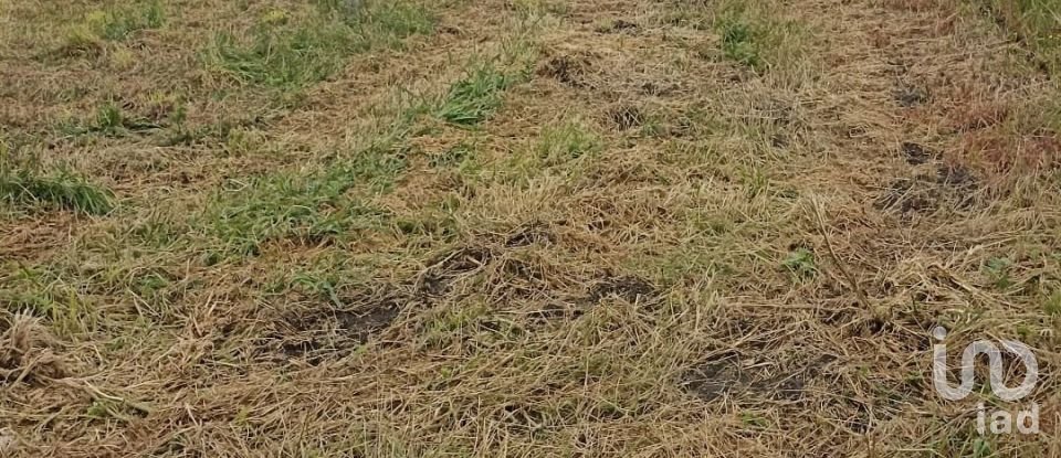 Land in Vieira de Leiria of 2,780 m²