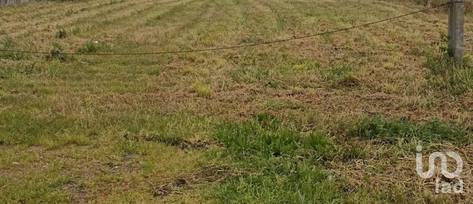 Land in Vieira de Leiria of 2,780 m²