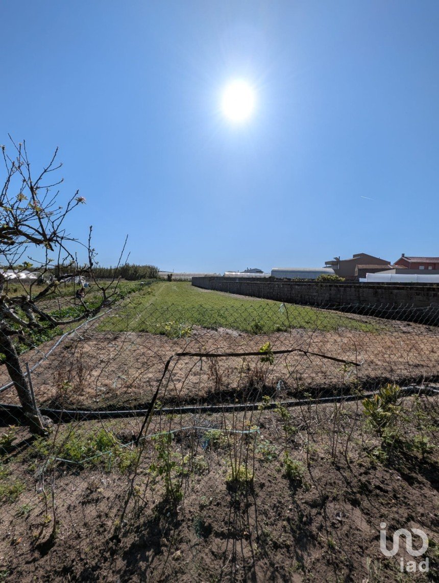 Casa T3 em Aguçadoura e Navais de 110 m²