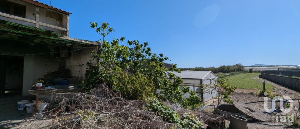 Casa T3 em Aguçadoura e Navais de 110 m²