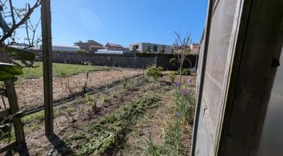 Gîte T3 à Aguçadoura e Navais de 110 m²
