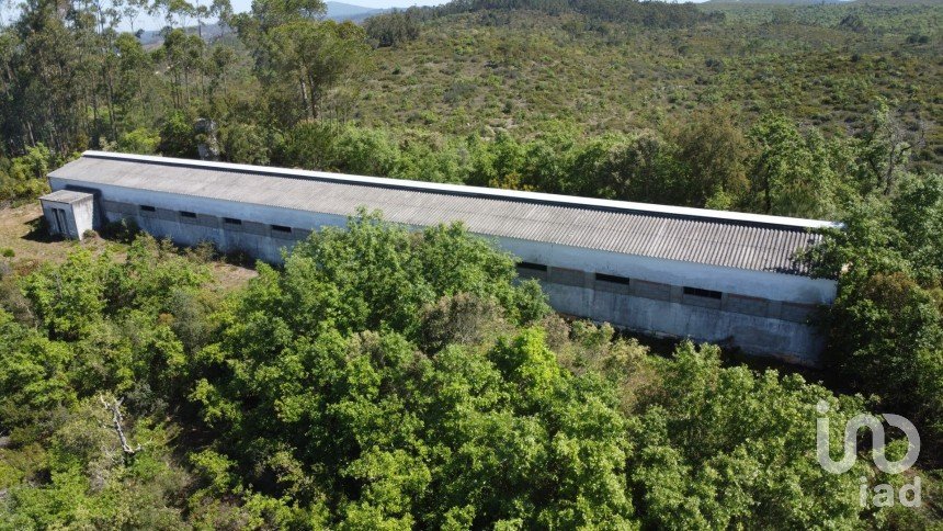 Armazém T0 em Freixianda, Ribeira do Fárrio e Formigais de 378 m²