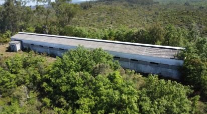 Pavillon T0 à Freixianda, Ribeira do Fárrio e Formigais de 378 m²