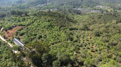 Pavillon T0 à Freixianda, Ribeira do Fárrio e Formigais de 378 m²