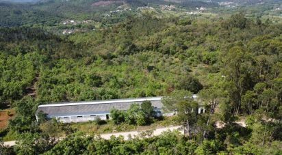 Pavillon T0 à Freixianda, Ribeira do Fárrio e Formigais de 378 m²