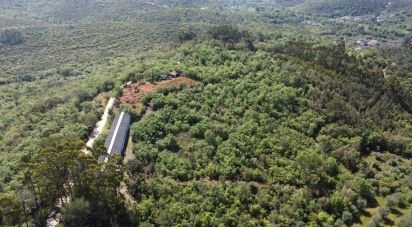 Pavillon T0 à Freixianda, Ribeira do Fárrio e Formigais de 378 m²