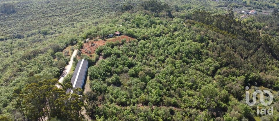 Armazém T0 em Freixianda, Ribeira do Fárrio e Formigais de 378 m²