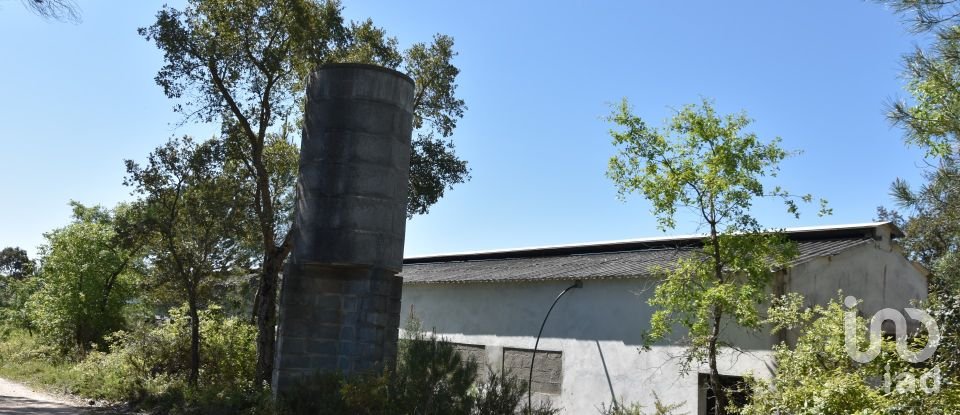 Armazém T0 em Freixianda, Ribeira do Fárrio e Formigais de 378 m²