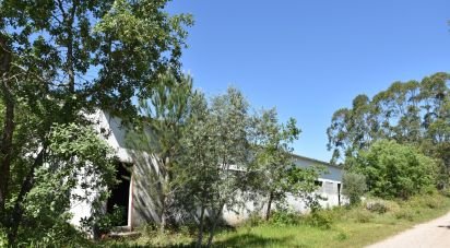 Pavillon T0 à Freixianda, Ribeira do Fárrio e Formigais de 378 m²