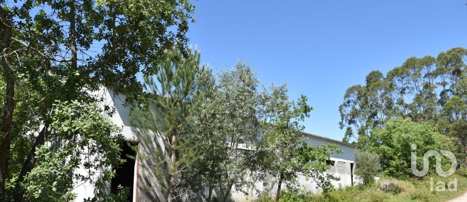 Armazém T0 em Freixianda, Ribeira do Fárrio e Formigais de 378 m²