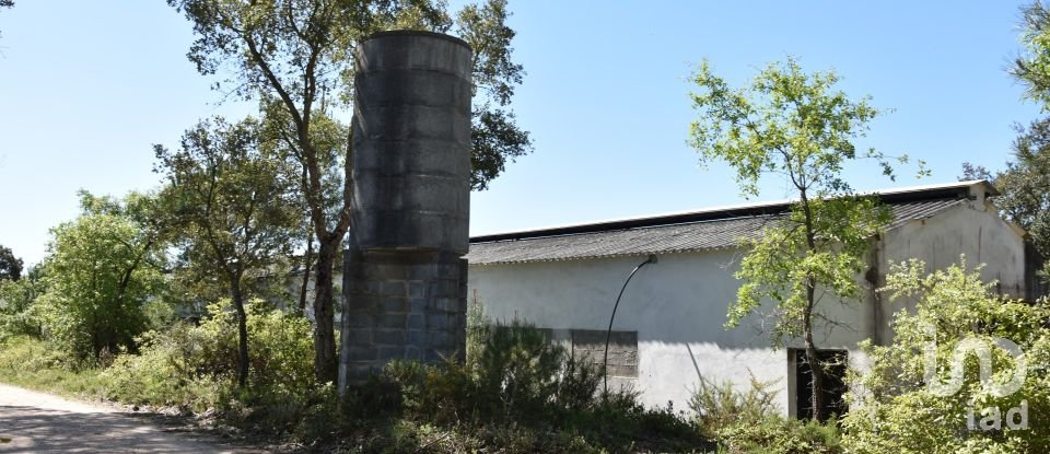 Armazém T0 em Freixianda, Ribeira do Fárrio e Formigais de 378 m²