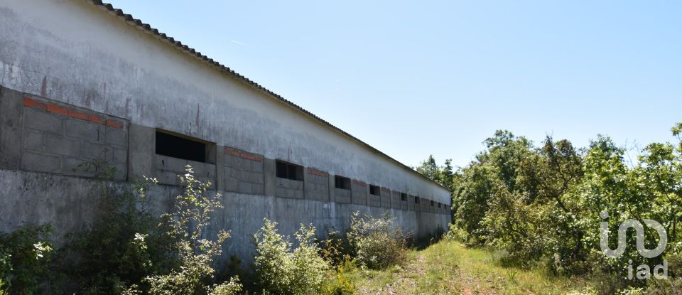 Armazém T0 em Freixianda, Ribeira do Fárrio e Formigais de 378 m²