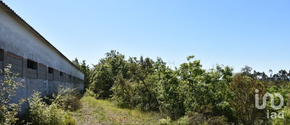 Armazém T0 em Freixianda, Ribeira do Fárrio e Formigais de 378 m²