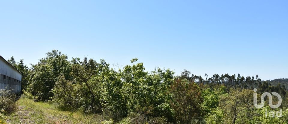 Armazém T0 em Freixianda, Ribeira do Fárrio e Formigais de 378 m²