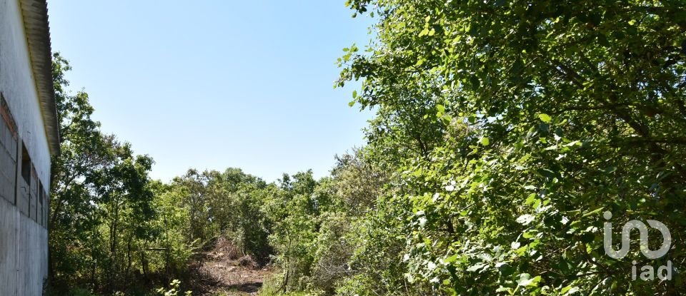 Armazém T0 em Freixianda, Ribeira do Fárrio e Formigais de 378 m²