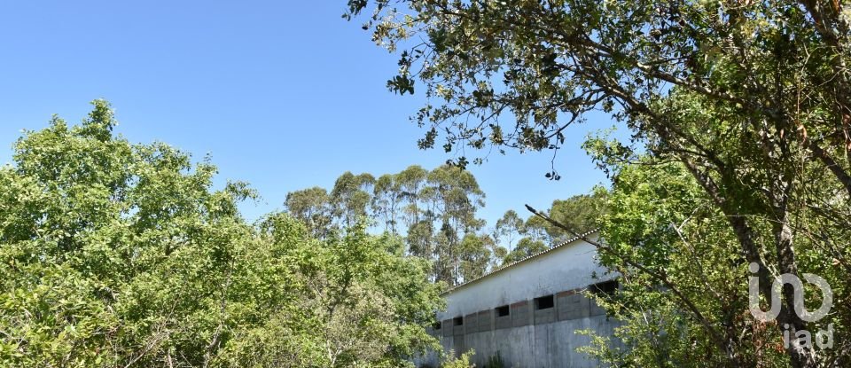 Armazém T0 em Freixianda, Ribeira do Fárrio e Formigais de 378 m²