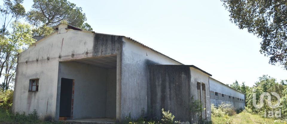 Armazém T0 em Freixianda, Ribeira do Fárrio e Formigais de 378 m²