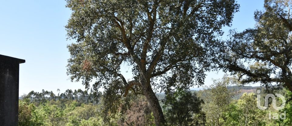 Armazém T0 em Freixianda, Ribeira do Fárrio e Formigais de 378 m²