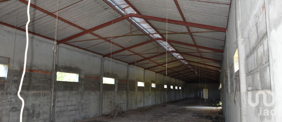 Armazém T0 em Freixianda, Ribeira do Fárrio e Formigais de 378 m²