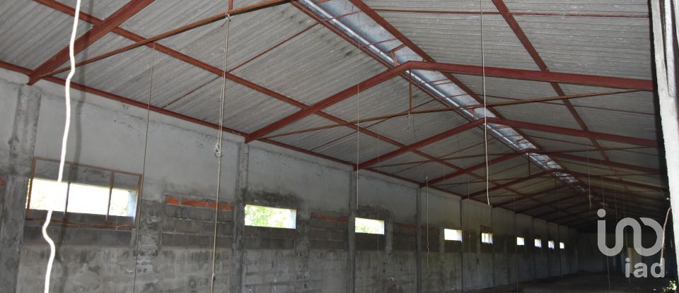 Armazém T0 em Freixianda, Ribeira do Fárrio e Formigais de 378 m²