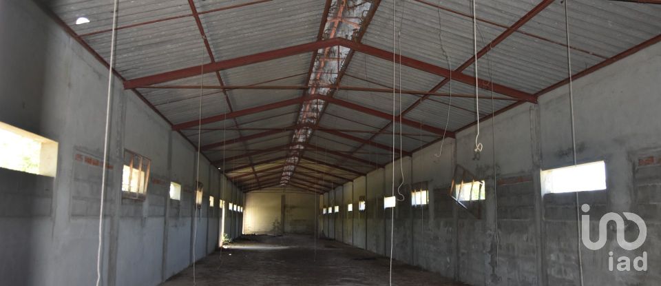 Armazém T0 em Freixianda, Ribeira do Fárrio e Formigais de 378 m²