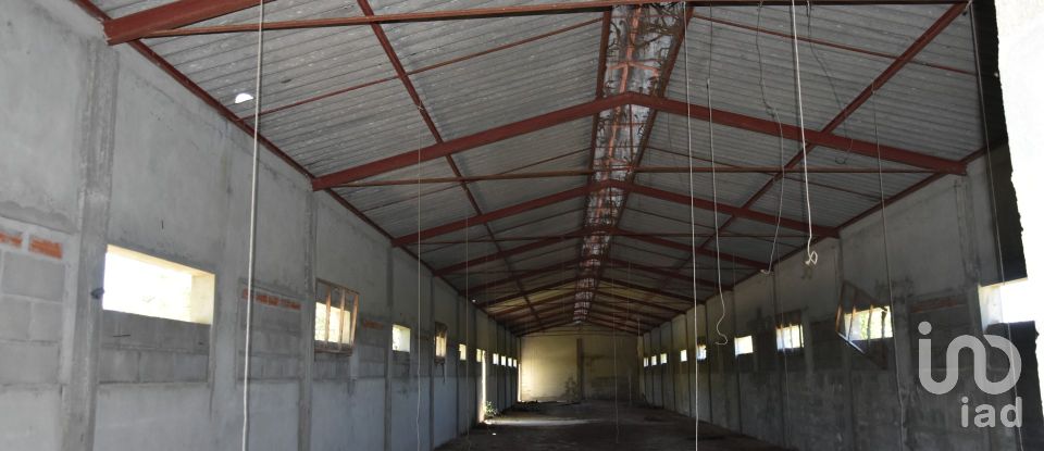 Armazém T0 em Freixianda, Ribeira do Fárrio e Formigais de 378 m²