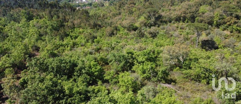 Armazém T0 em Freixianda, Ribeira do Fárrio e Formigais de 378 m²