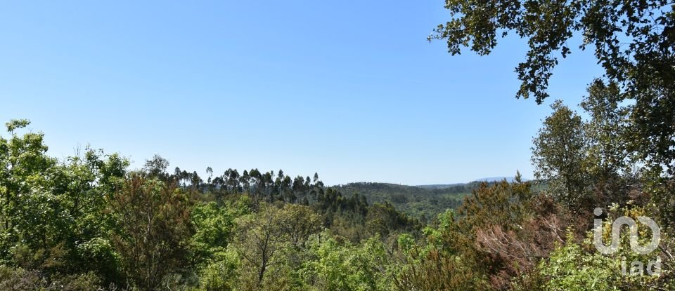 Armazém T0 em Freixianda, Ribeira do Fárrio e Formigais de 378 m²