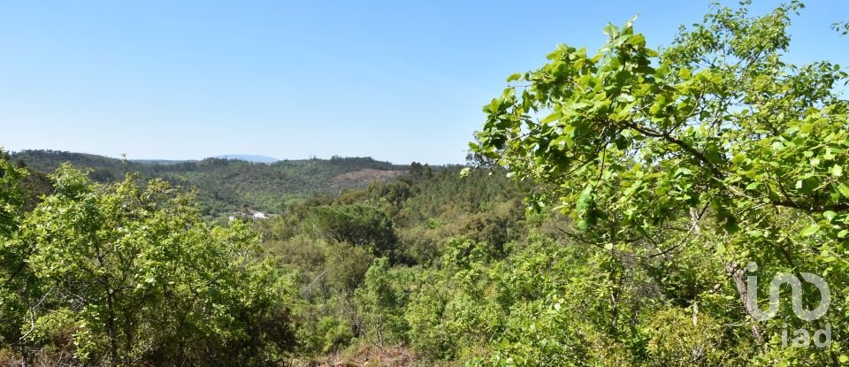 Armazém T0 em Freixianda, Ribeira do Fárrio e Formigais de 378 m²