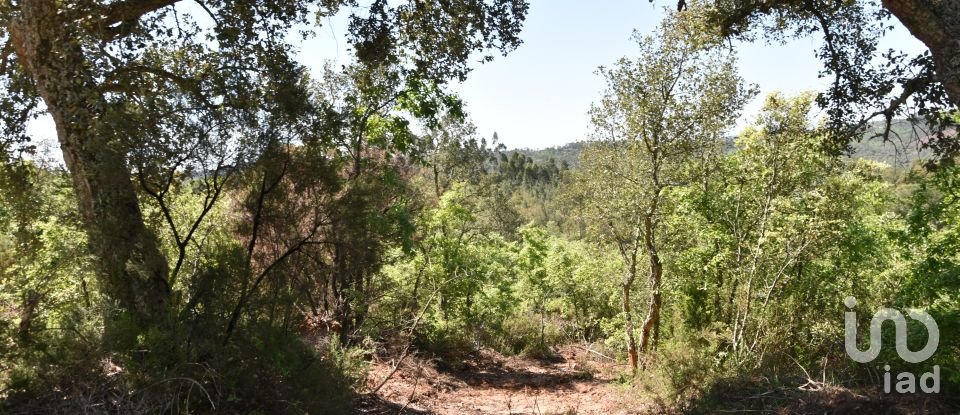 Armazém T0 em Freixianda, Ribeira do Fárrio e Formigais de 378 m²