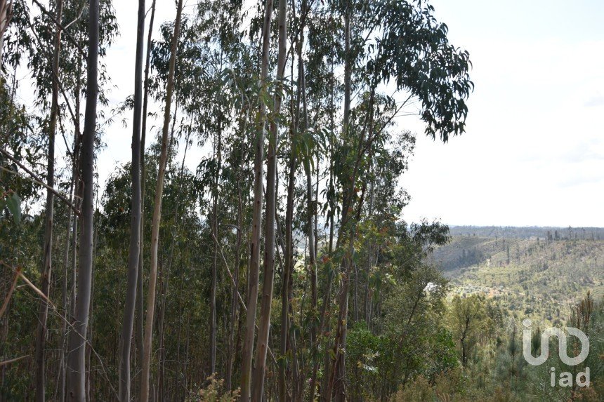 Terrain à Rio de Couros e Casal dos Bernardos de 7 590 m²