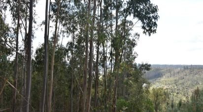 Terrain à Rio de Couros e Casal dos Bernardos de 7 590 m²