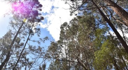 Terrain à Rio de Couros e Casal dos Bernardos de 7 590 m²