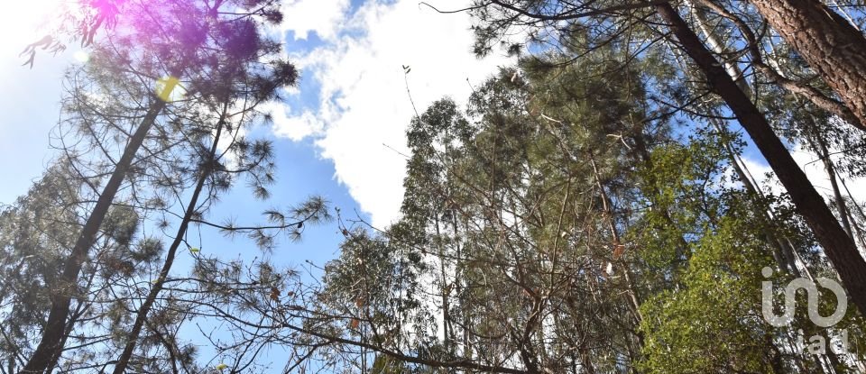 Terrain à Rio de Couros e Casal dos Bernardos de 7 590 m²
