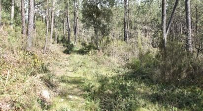 Terrain à Rio de Couros e Casal dos Bernardos de 7 590 m²