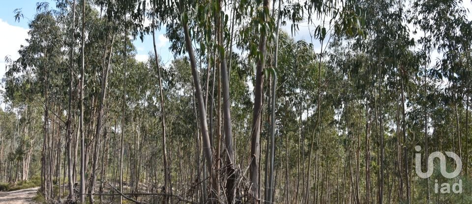Terrain à Rio de Couros e Casal dos Bernardos de 7 590 m²