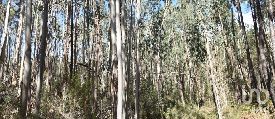 Terrain à Rio de Couros e Casal dos Bernardos de 7 590 m²