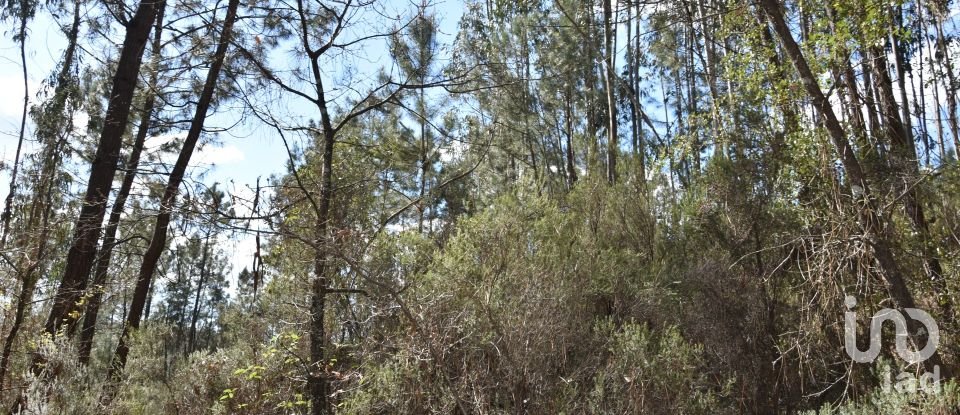 Terrain à Rio de Couros e Casal dos Bernardos de 7 590 m²