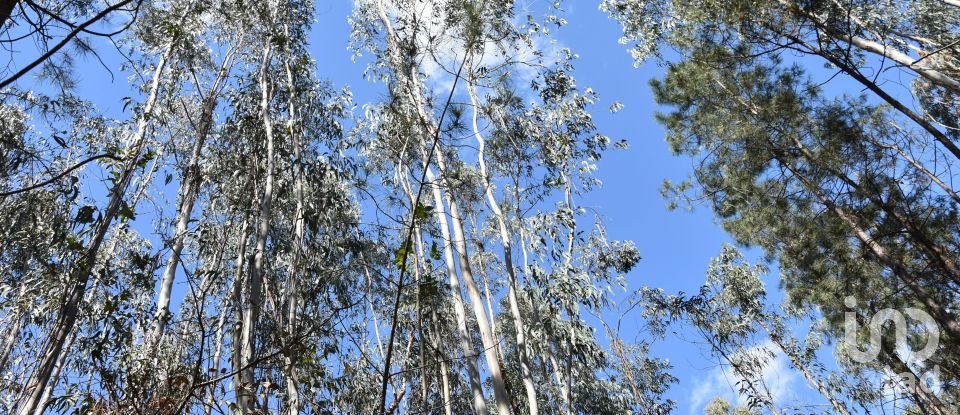 Terrain à Rio de Couros e Casal dos Bernardos de 7 590 m²