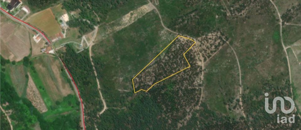 Terrain à Rio de Couros e Casal dos Bernardos de 7 590 m²
