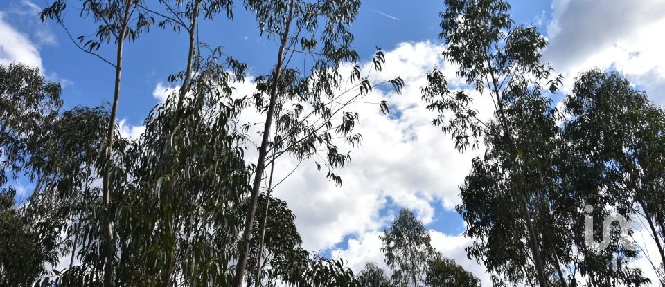 Terrain à Rio de Couros e Casal dos Bernardos de 7 590 m²