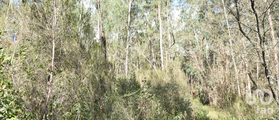 Terrain à Rio de Couros e Casal dos Bernardos de 7 590 m²