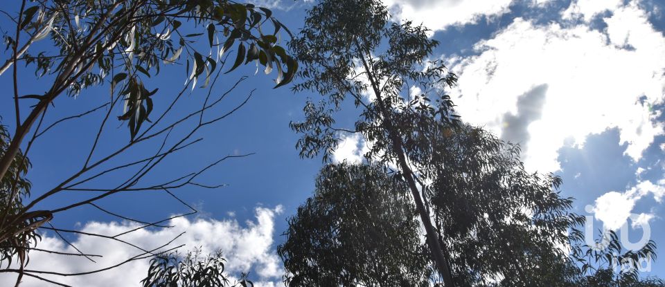 Terrain à Rio de Couros e Casal dos Bernardos de 7 590 m²